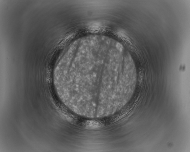 X0000094810272200712141629