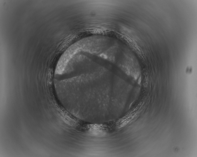 X0000094810273200712141629