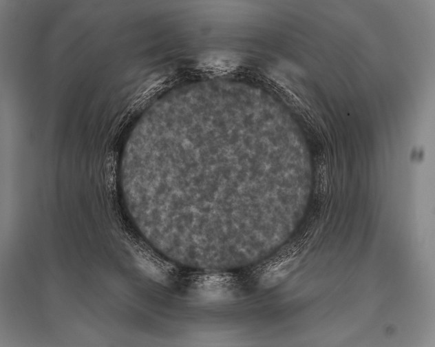 X0000094810274200712141629