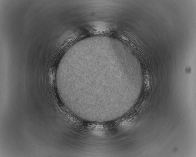 X0000094810276200712141629