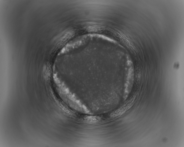 X0000094810277200712141629