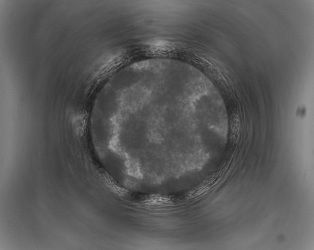 X0000094810278200712141629