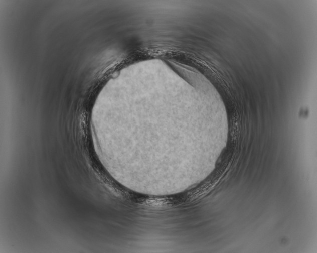 X0000094810280200712141629