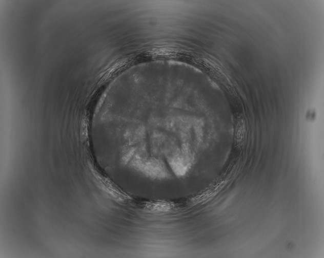 X0000094810282200712141629