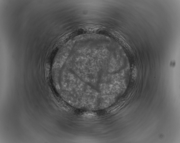 X0000094810283200712141629