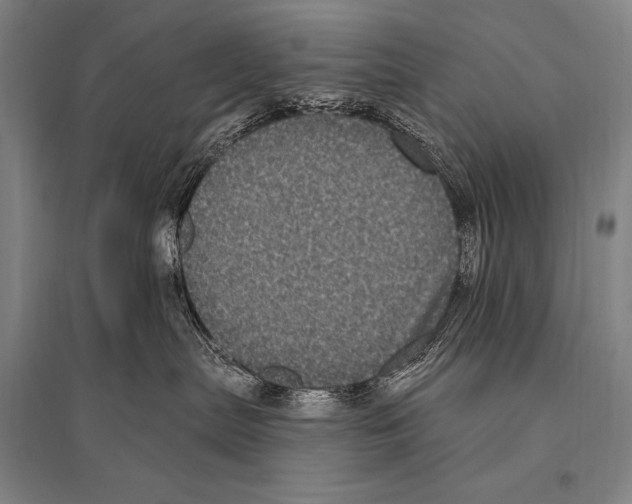 X0000094810287200712141629