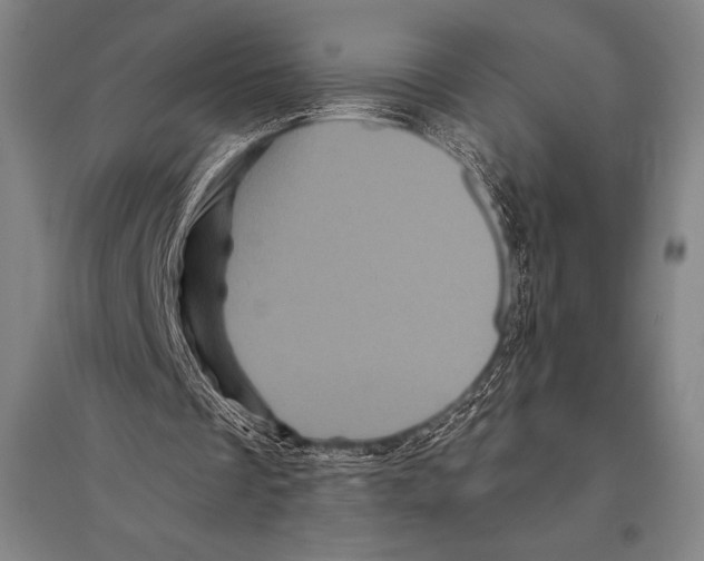 X0000094810289200712141628