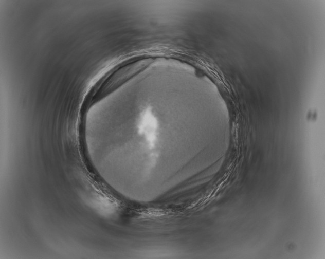 X0000094810292200712141628