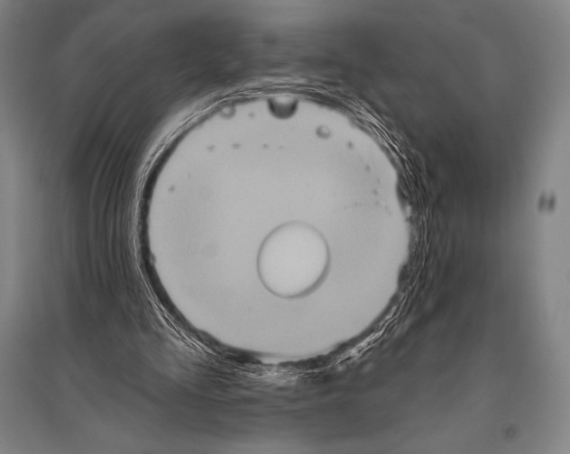 X0000094810293200712141628