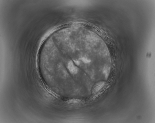 X0000094810294200712141628