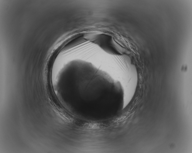 X0000094810295200712141628