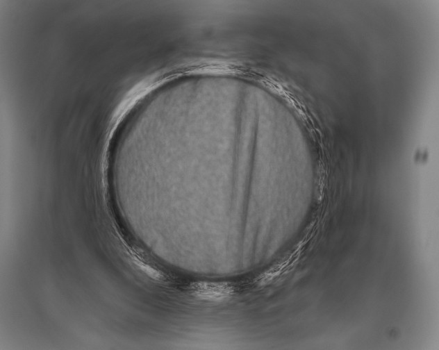 X0000094810296200712141628