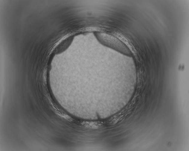 X0000094810297200712141628