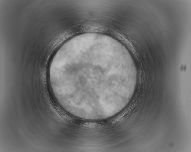 X0000094810298200712141628