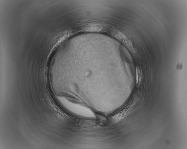 X0000094810300200712141628