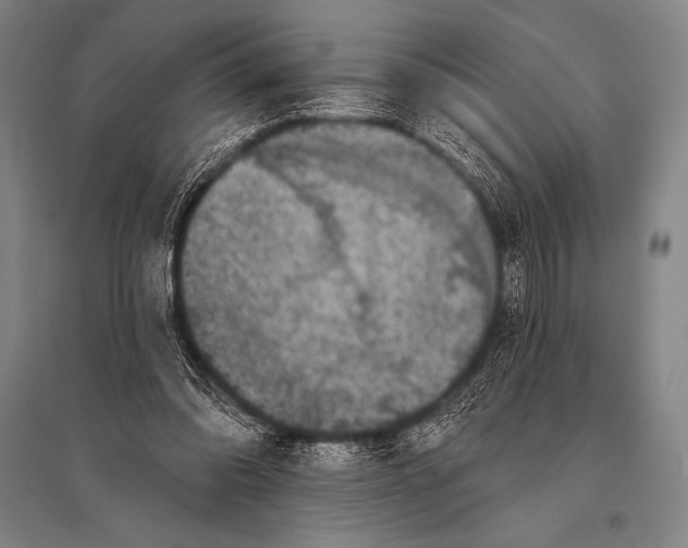 X0000094810302200712141628