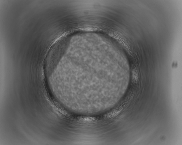 X0000094810304200712141628