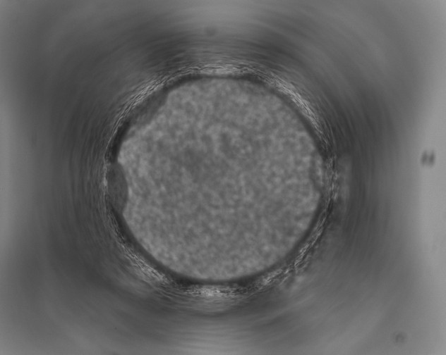 X0000094810305200712141628