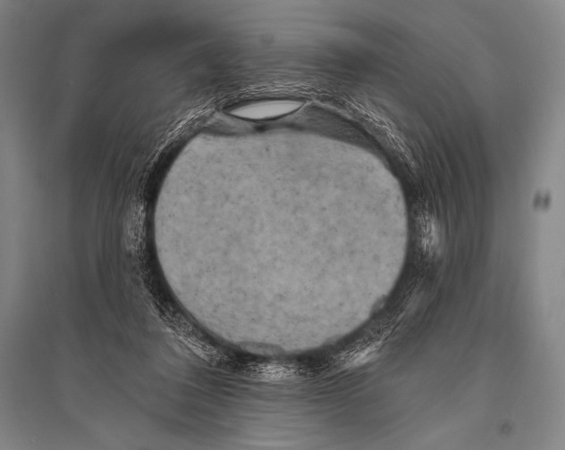 X0000094810308200712141628