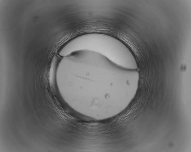 X0000094810309200712141628