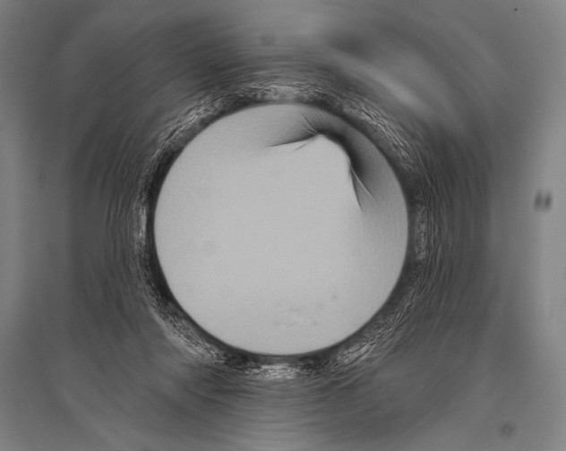 X0000094810310200712141628