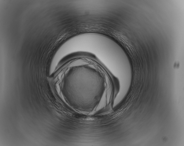 X0000094810312200712141628