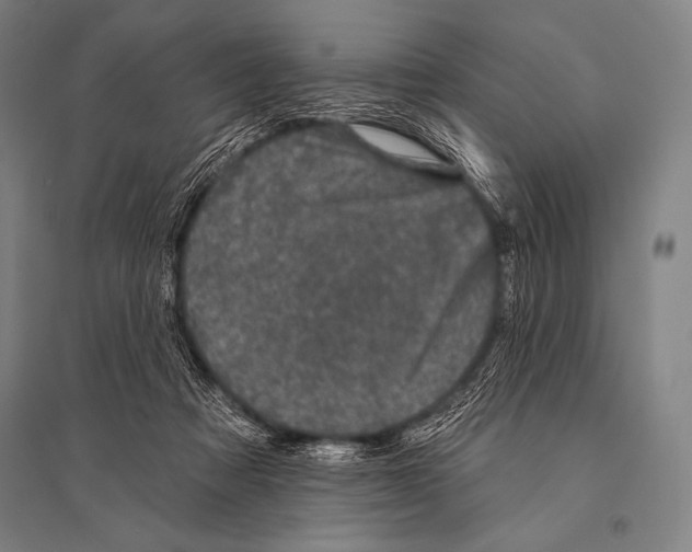 X0000094810313200712141628