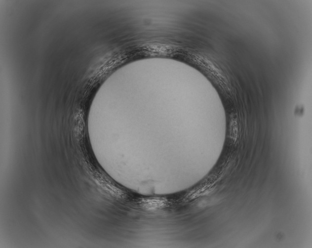 X0000094810318200712141628