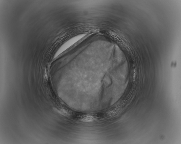 X0000094810320200712141628