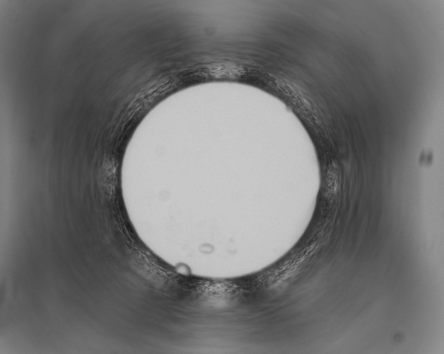 X0000094810321200712141628