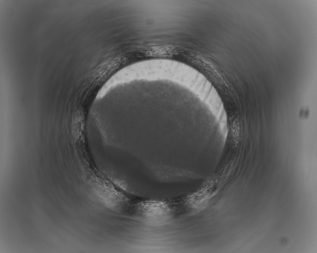 X0000094810322200712141628