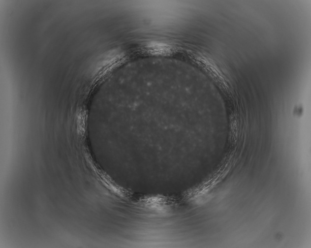 X0000094810325200712141628