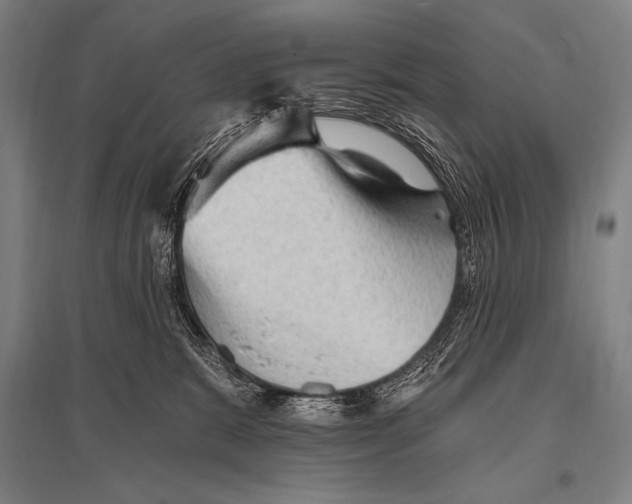 X0000094810327200712141628