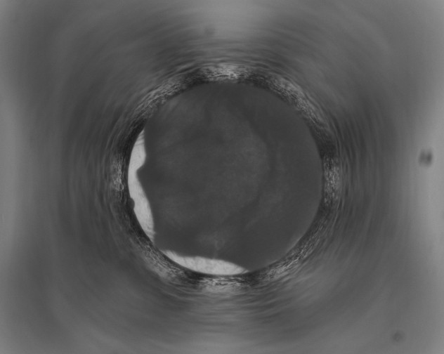 X0000094810331200712141628