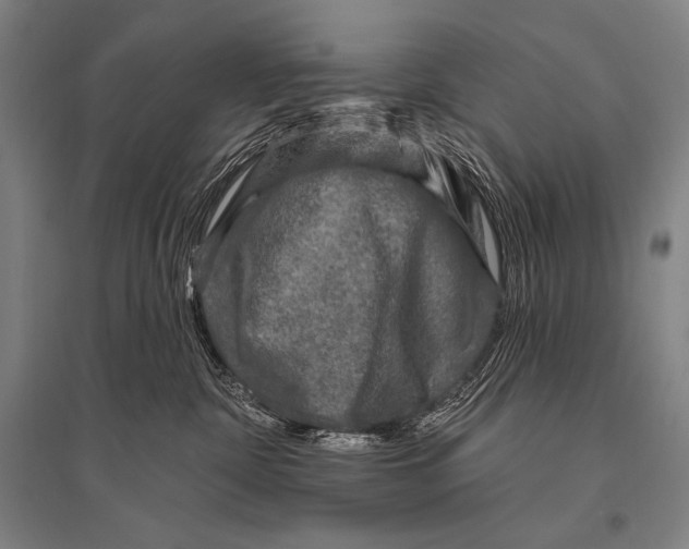 X0000094810332200712141628