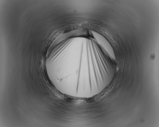 X0000094810333200712141628