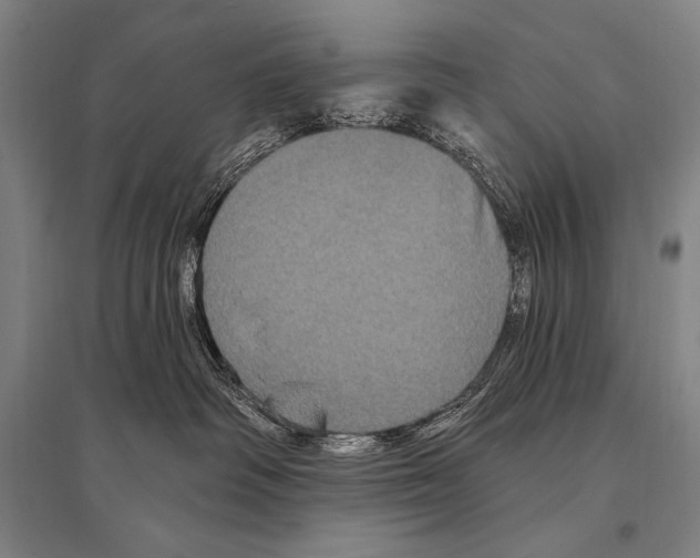 X0000094810334200712141628