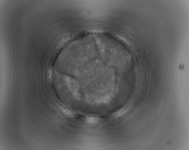 X0000094810336200712141628