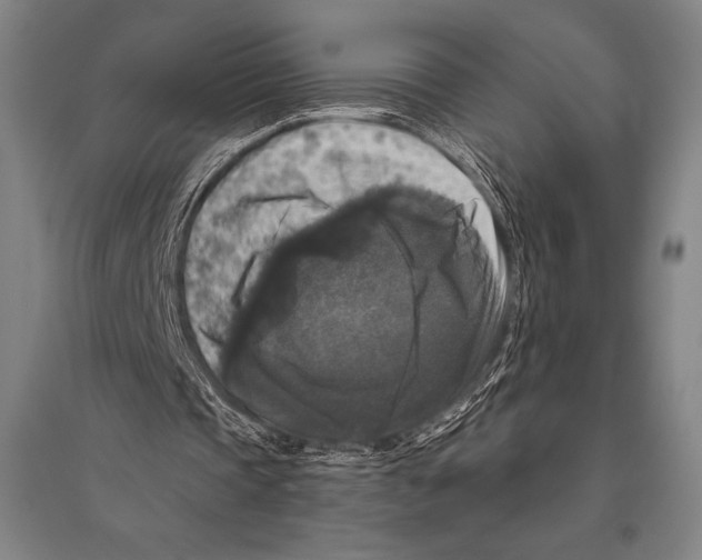 X0000094810337200712141627