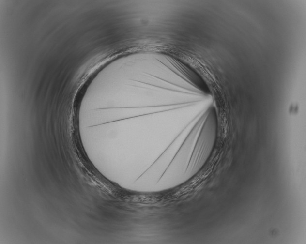 X0000094810338200712141627