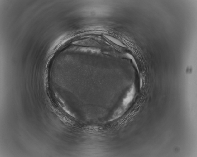 X0000094810339200712141627