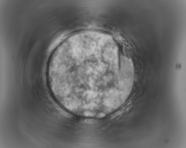 X0000094810341200712141627