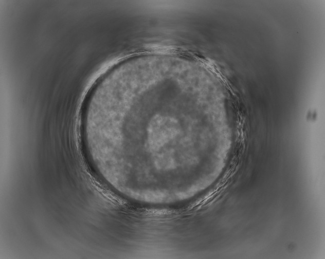 X0000094810342200712141627