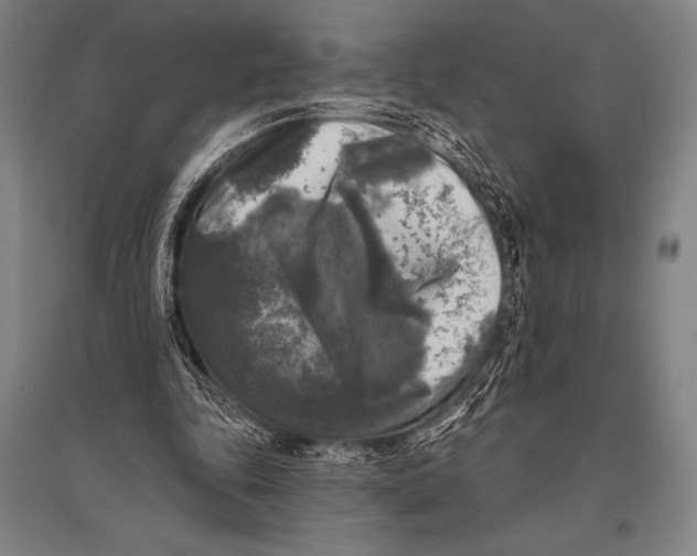 X0000094810343200712141627