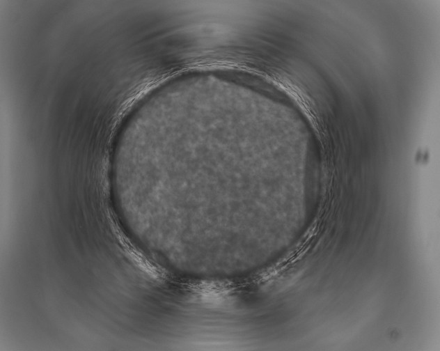 X0000094810345200712141627