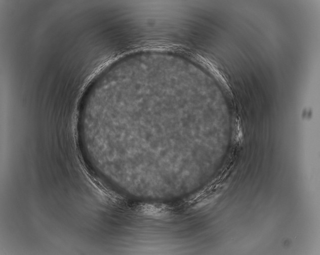 X0000094810346200712141627