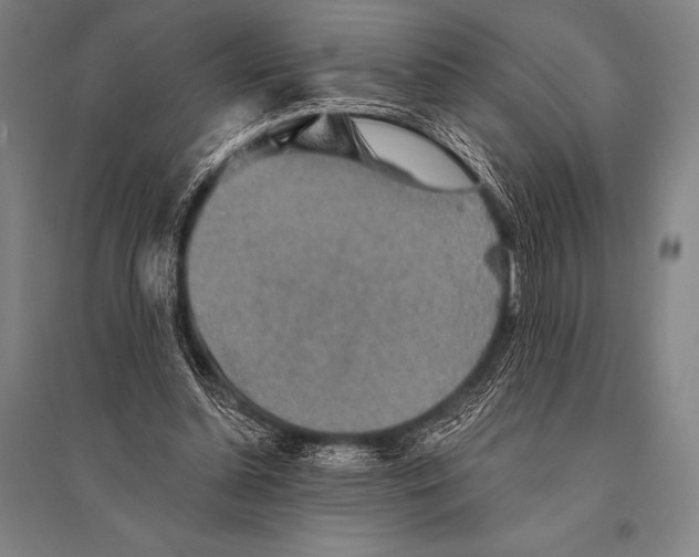 X0000094810348200712141627