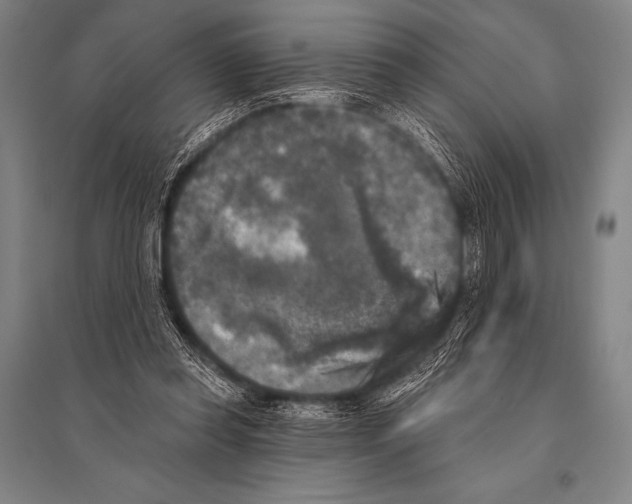 X0000094810349200712141627