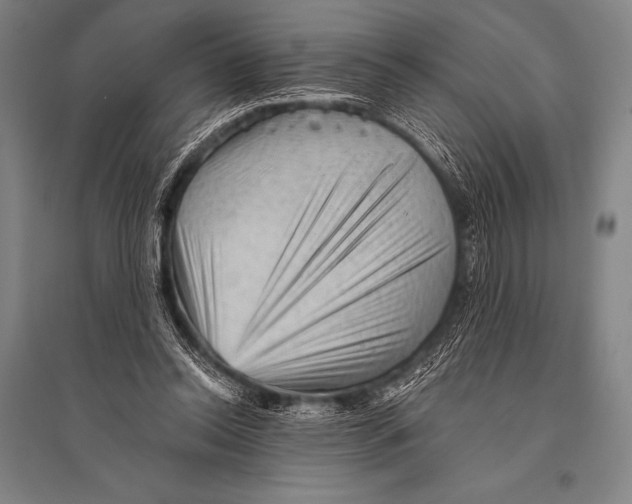 X0000094810350200712141627