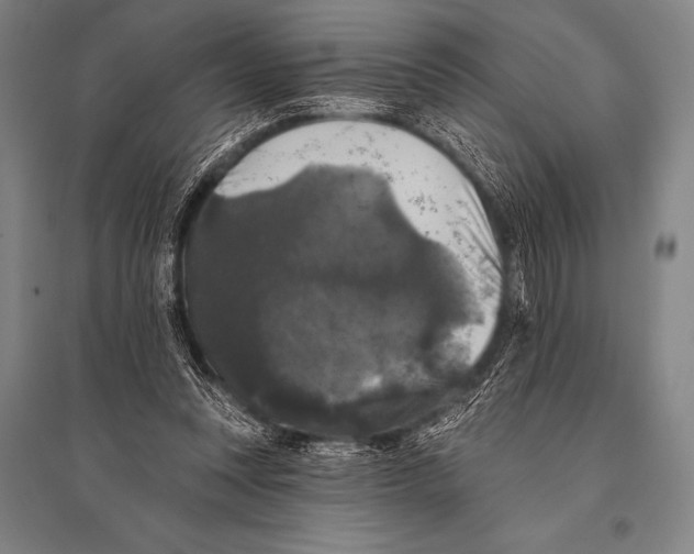 X0000094810351200712141627